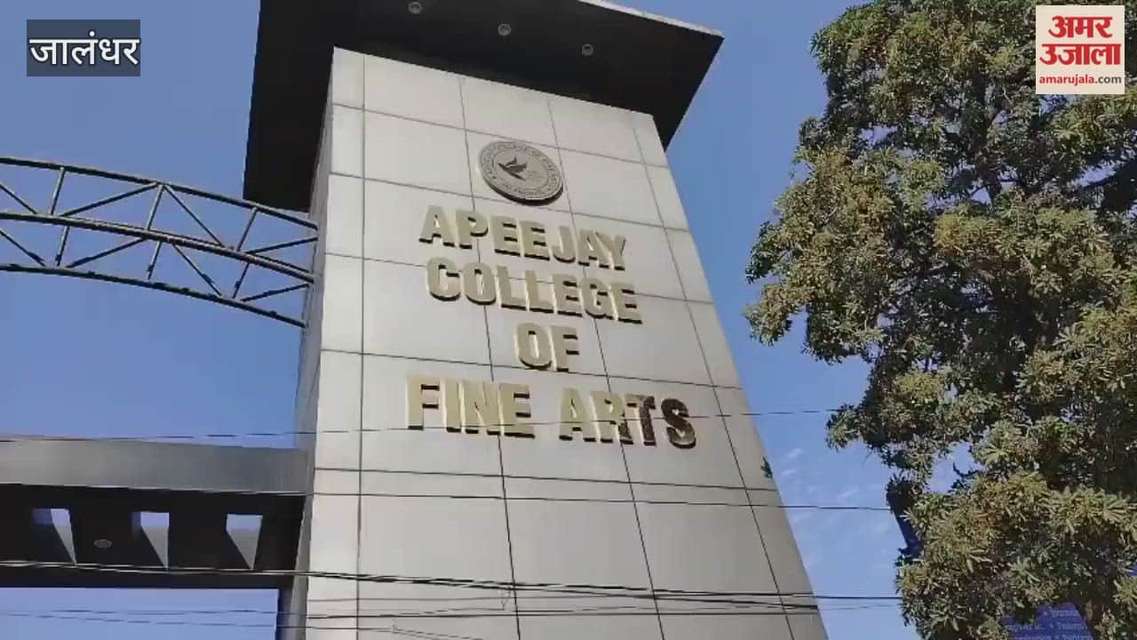 APJ College and IV World School in Jalandhar are also closed.