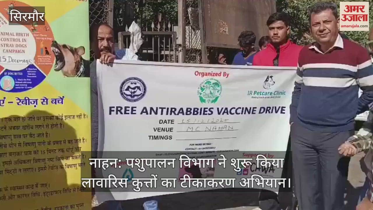 Nahan: The Animal Husbandry Department has launched a vaccination campaign for stray dogs.