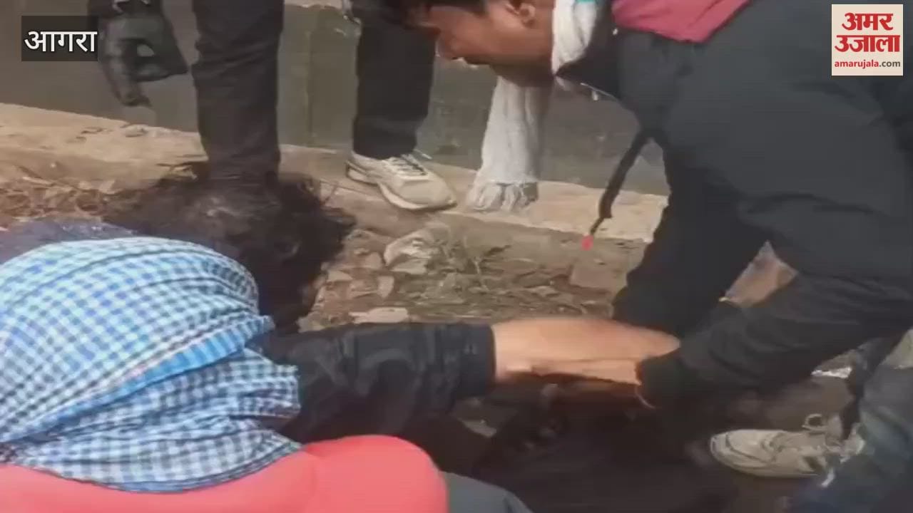 Youth Falls Into Open Drain Amid Dense Fog in Agra
