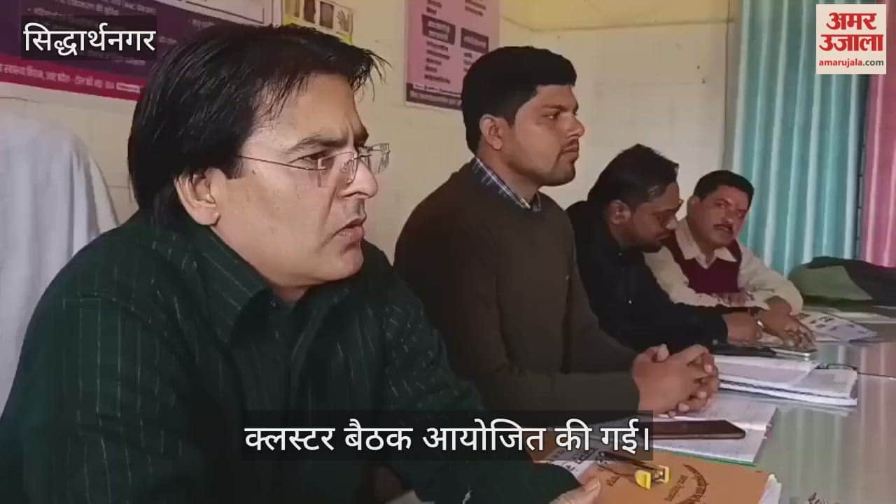 Make an action plan and ensure 100% institutional deliveries