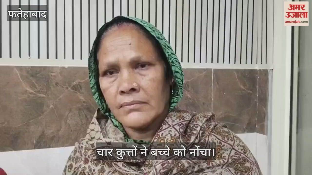 Four dogs mauled a child