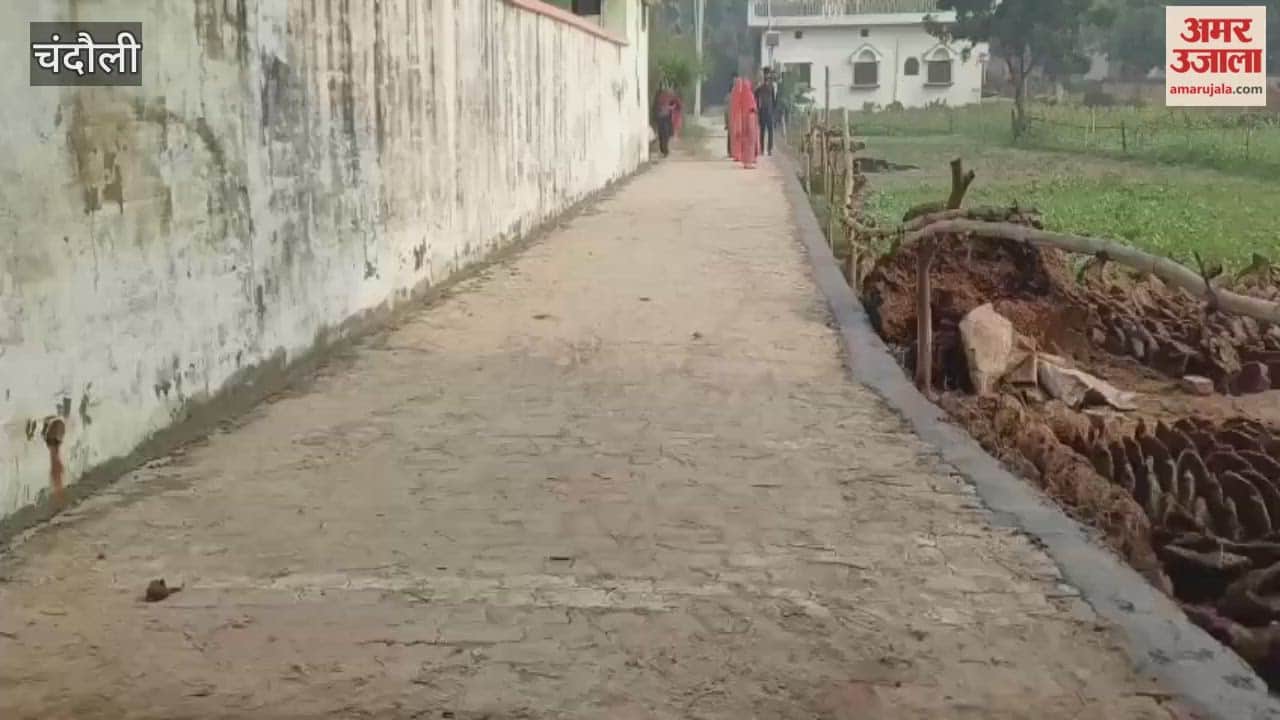 road in Mahmudpur Jamalpur village has been given new look
