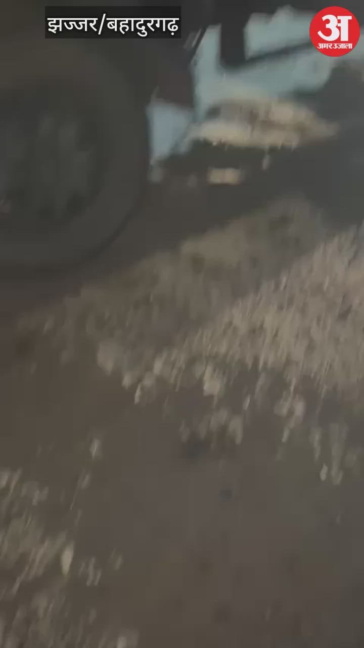 झज्जर: एक किलोमीटर टूटी सड़क, समाधान शिविर में दी शिकायत