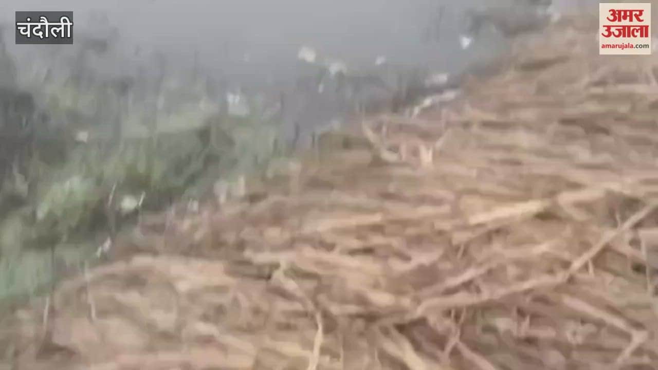 out-of-control car overturned in pond driver narrowly escaped unhurt