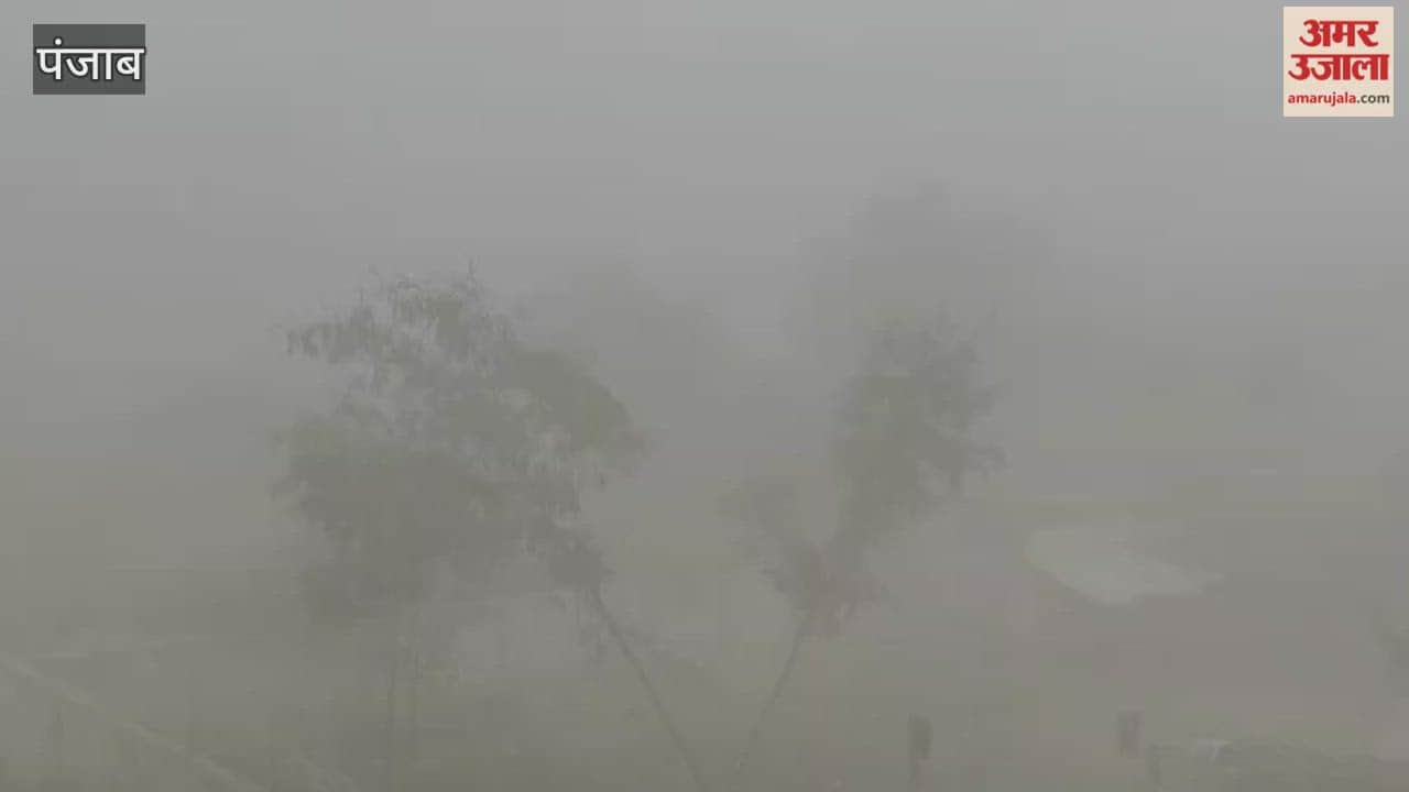 Dense fog in Phagwara