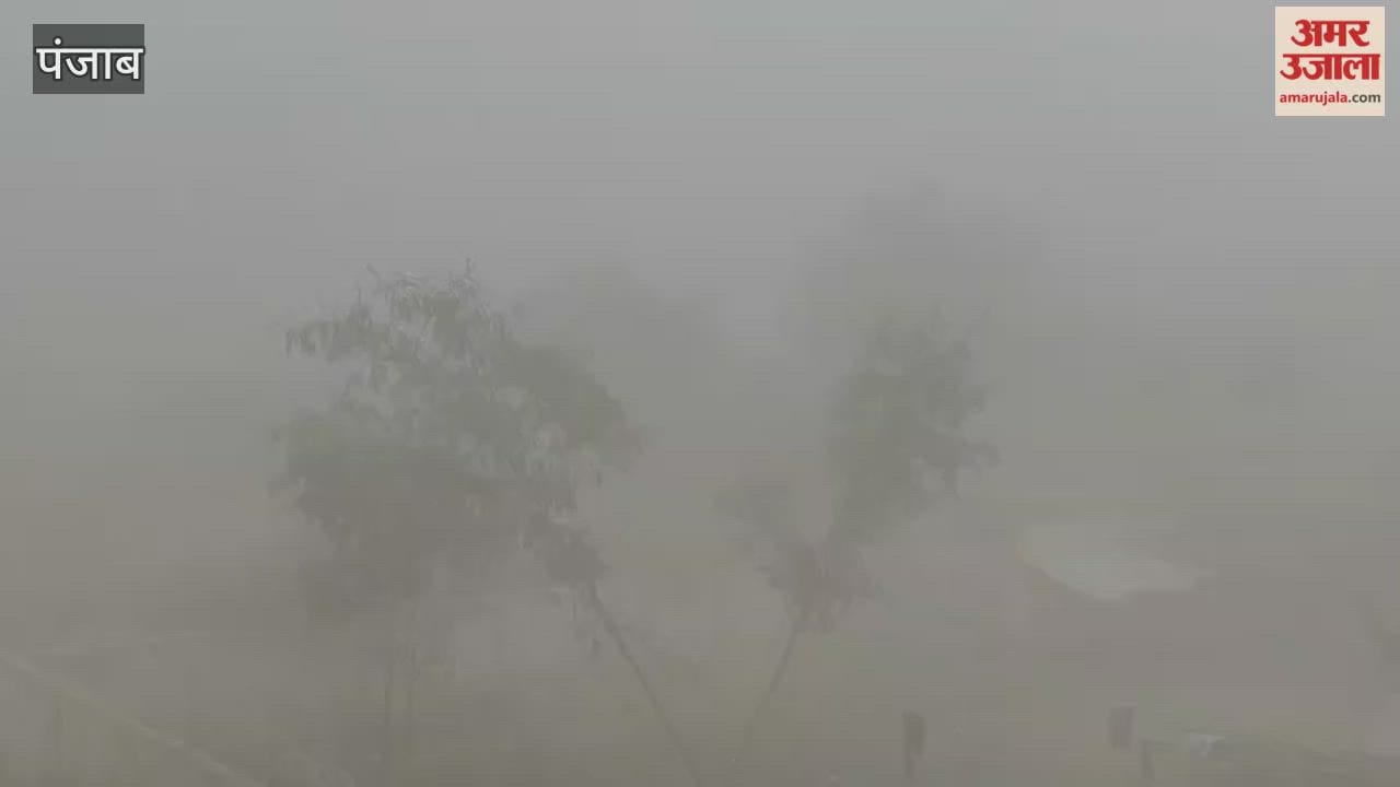 Dense fog in Phagwara
