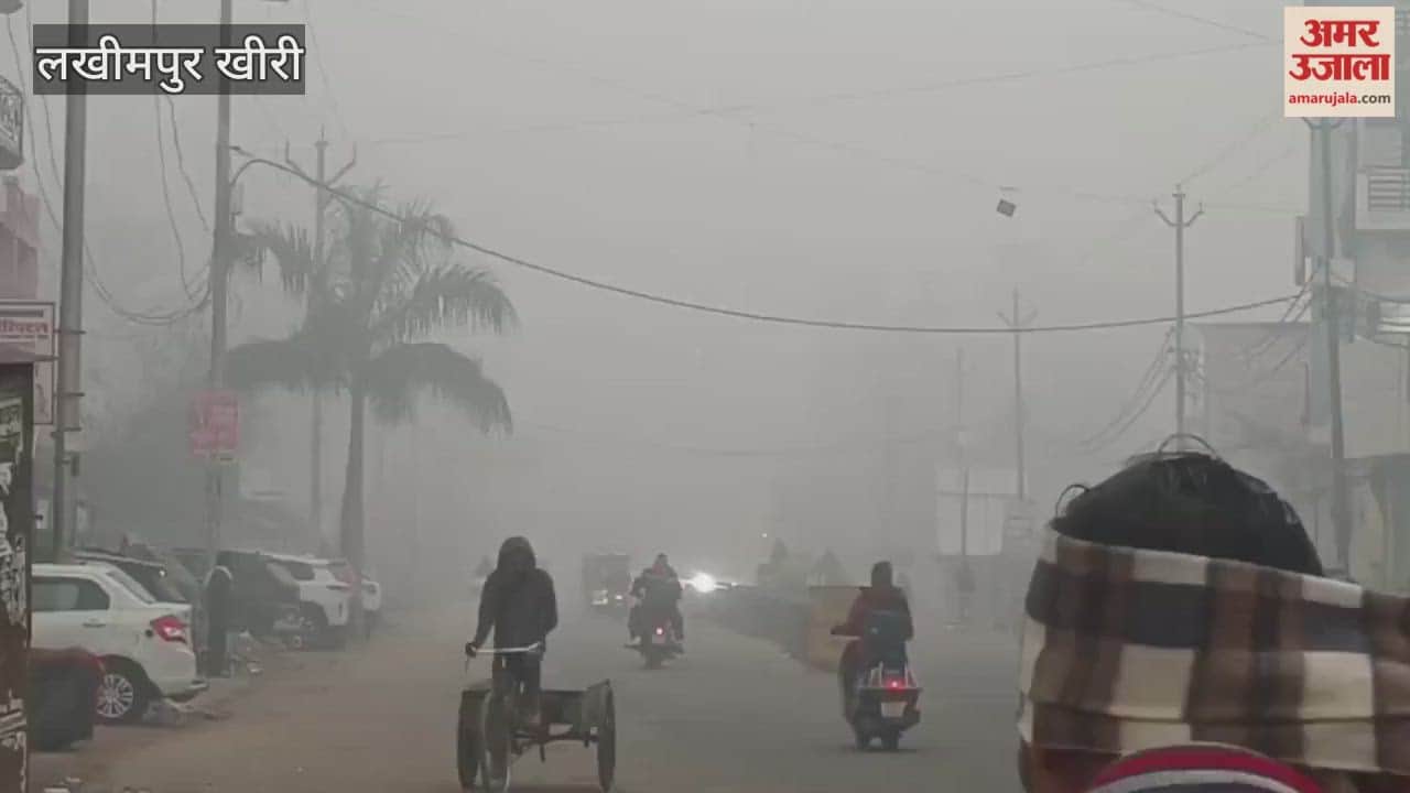 Terai area in the grip of dense fog in lakhimpur kheri