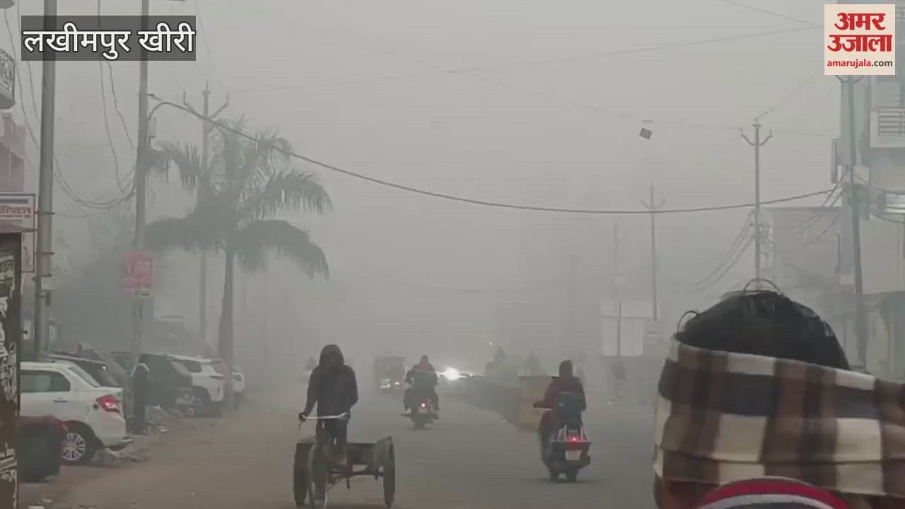 Terai area in the grip of dense fog in lakhimpur kheri