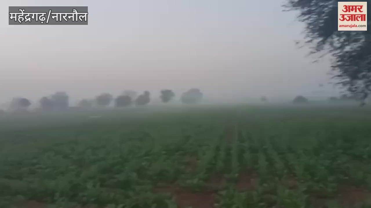 In Narnaul, the minimum temperature dropped by 0.9 degrees Celsius in one day, reaching close to 5.6 degrees