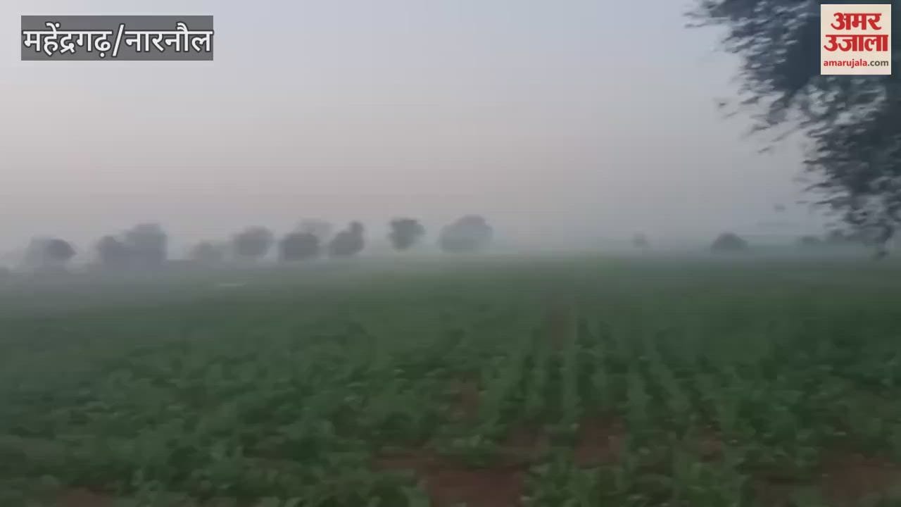 In Narnaul, the minimum temperature dropped by 0.9 degrees Celsius in one day, reaching close to 5.6 degrees