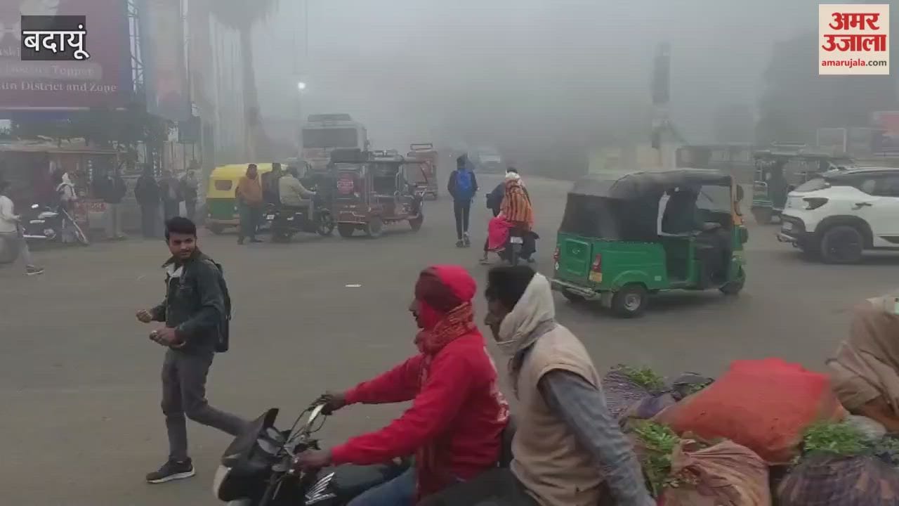 Dense fog enveloped Badaun since morning