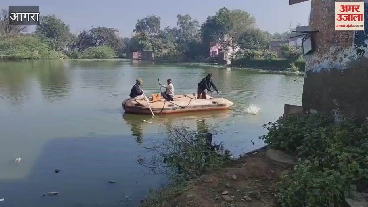 7-Year-Old Girl Goes Missing