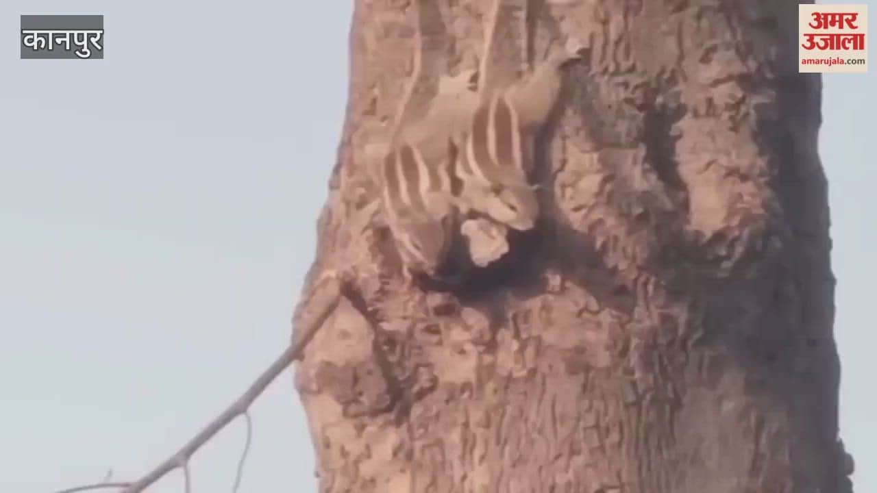 Morning fog gives way to sunshine, bringing smiles to faces