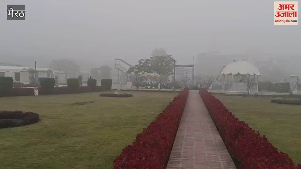 Meerut: Fog and cold weather halted tourists' plans, leaving the historical sites of Hastinapur deserted