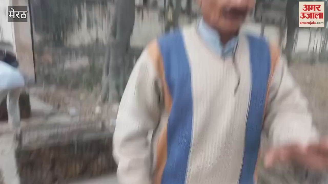 Meerut: Relief from the monkey-catching campaign; the people of Hastinapur appreciate the efforts of the Nagar Panchayat