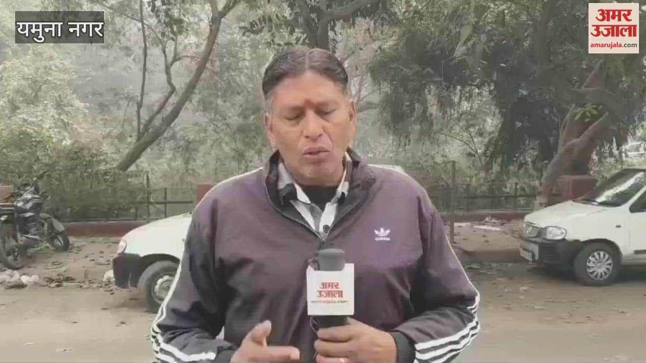 Electricity department employees protested in Yamunanagar against the online transfer policy.