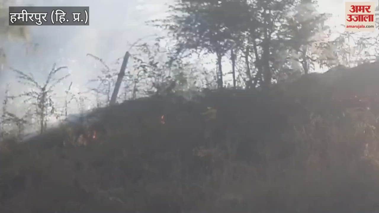 Hamirpur A fire broke out in the Dangkwali forest
