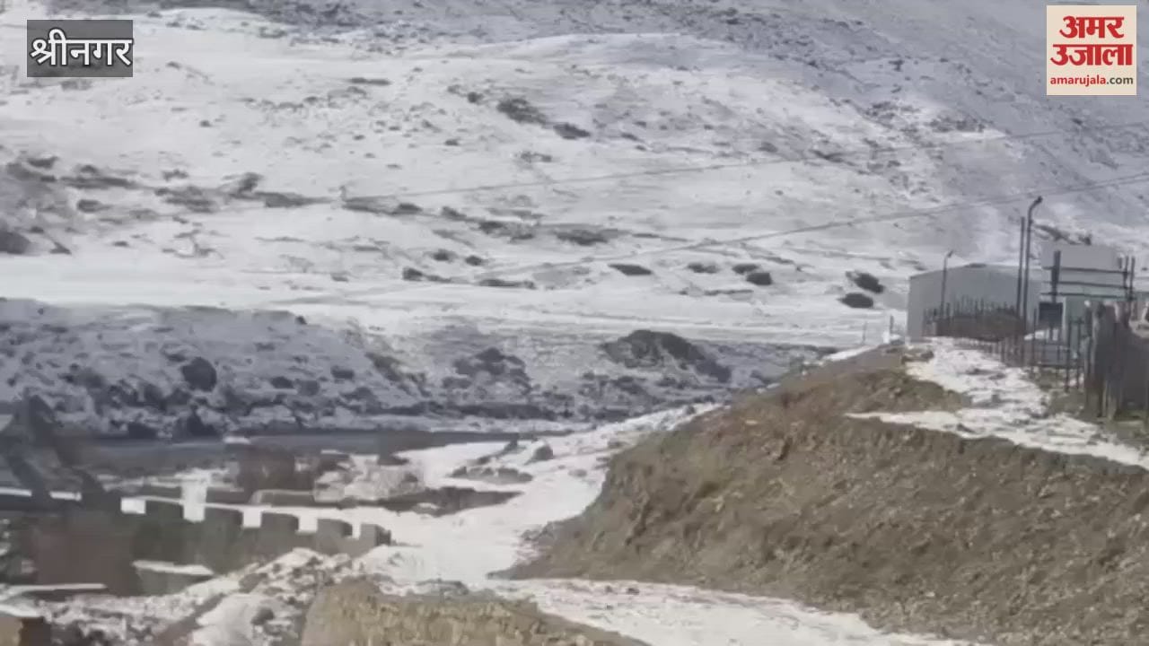 Old Hand Grenade Defused by Army and Police in Drass