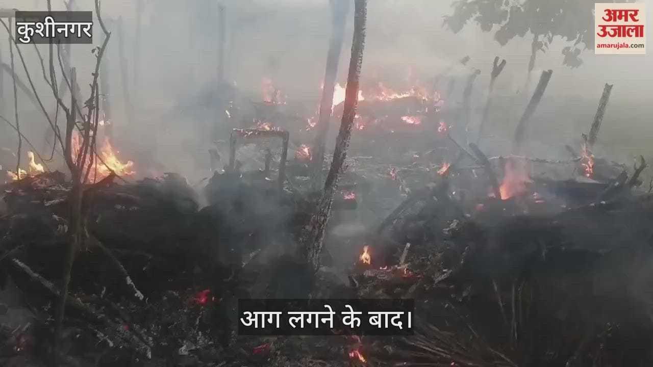 Fire breaks out in hut, eight goats die