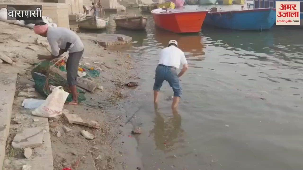 Dead animals lying on banks of Ganges from Bundi Parkota to Golaghat were removed