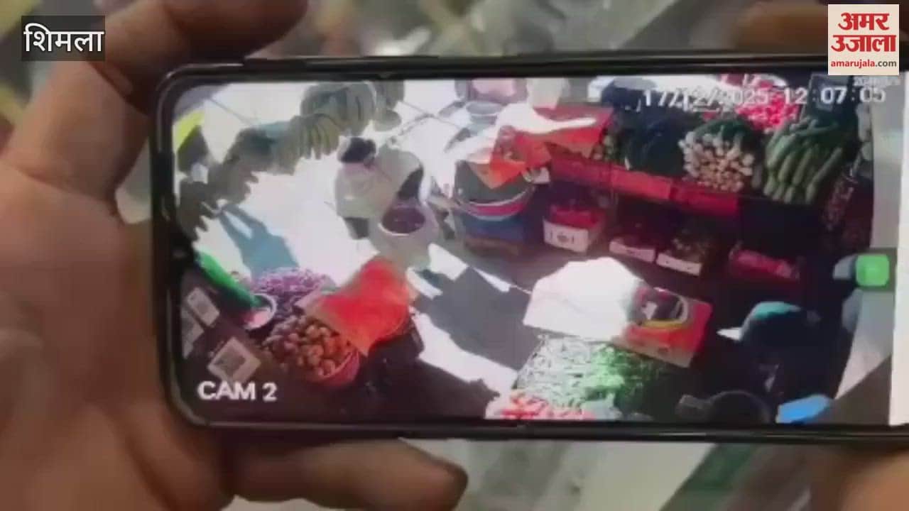 Shimla A young man snatched a woman's purse in broad daylight at the old bus stand and fled police apprehended him in Ghaghas, Bilaspur