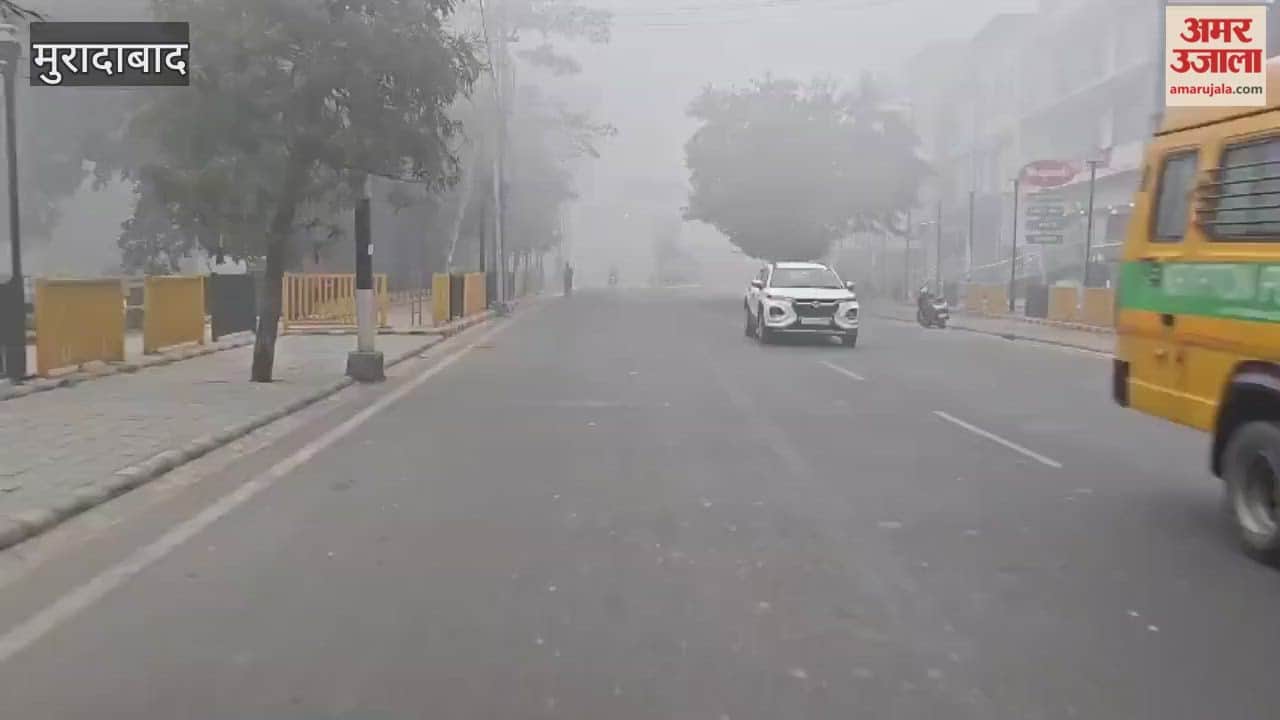 मुरादाबाद मंडल में कोहरे की दस्तक, ठिठुरने लगा जनजीवन, गाड़ियों की रफ्तार पर ब्रेक