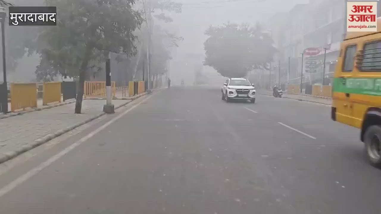 मुरादाबाद मंडल में कोहरे की दस्तक, ठिठुरने लगा जनजीवन, गाड़ियों की रफ्तार पर ब्रेक