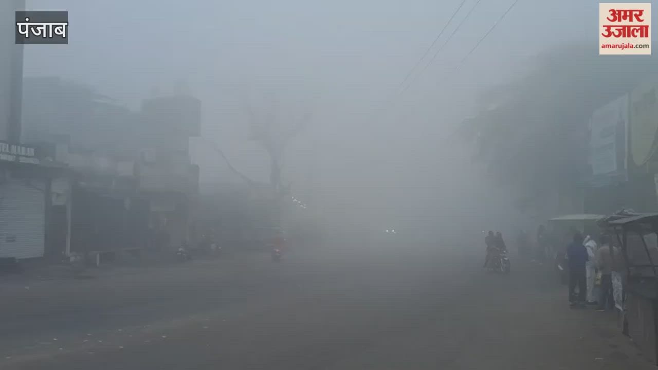 Dense fog in Faridkot