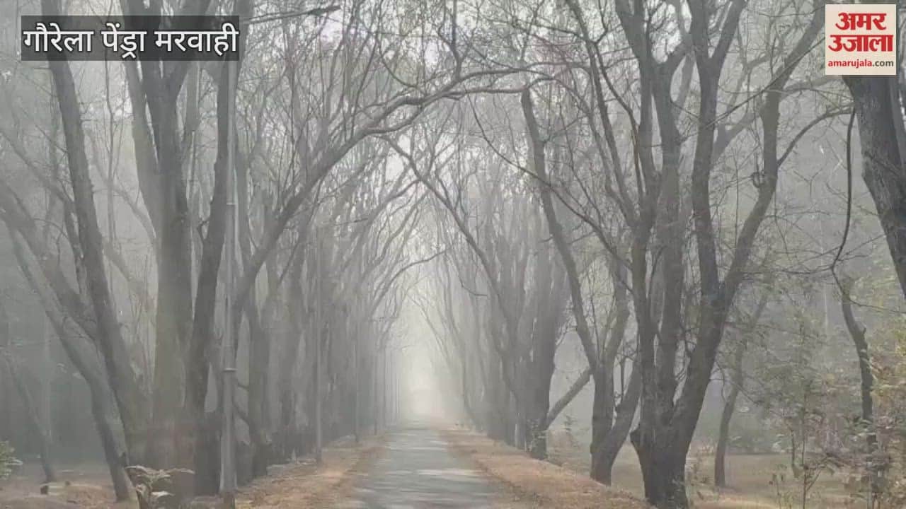 Dense fog blankets Gaurela-Pendra-Marwahi