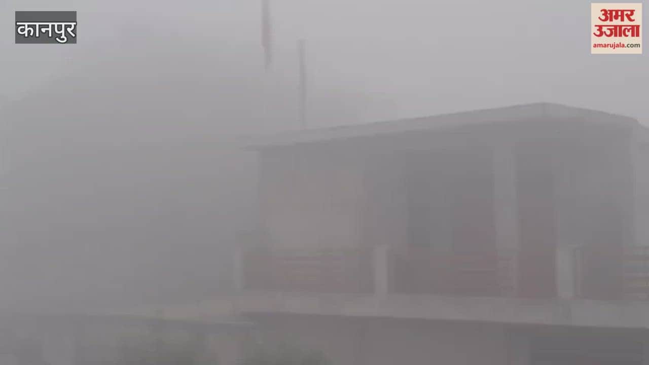 fog was so thick it penetrated even into the houses; even the neighbors' houses were barely visible