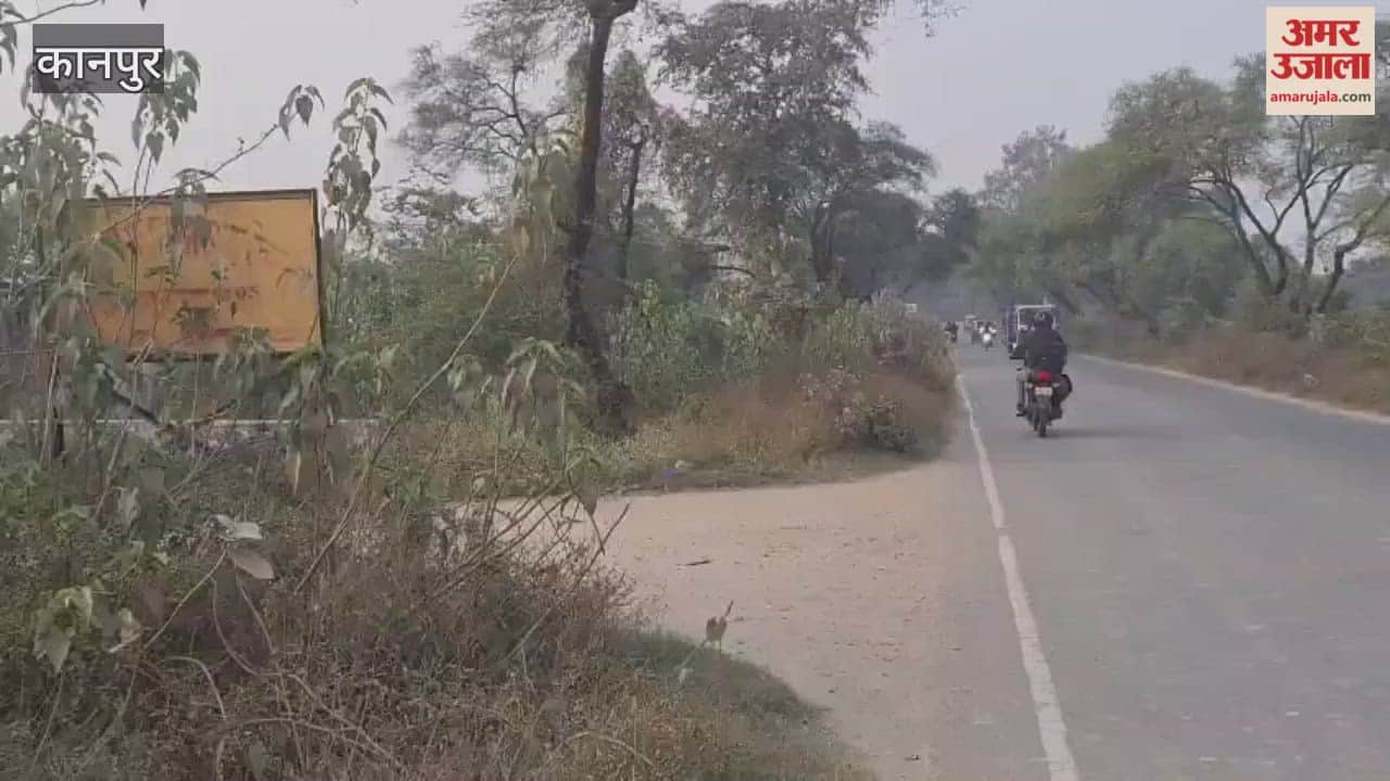 Bushes have covered the sign for Manjhavan CHC, leaving accident victims struggling to find the hospital