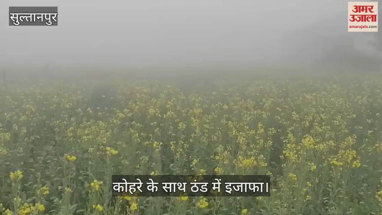 सुल्तानपुर में कोहरे के साथ ठंड में इजाफा, गेहूं को लाभ... दलहन-तिलहन को नुकसान की आशंका