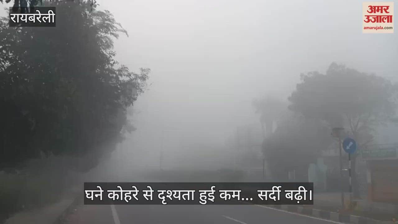 रायबरेली में घने कोहरे से दृश्यता हुई कम... सर्दी बढ़ी