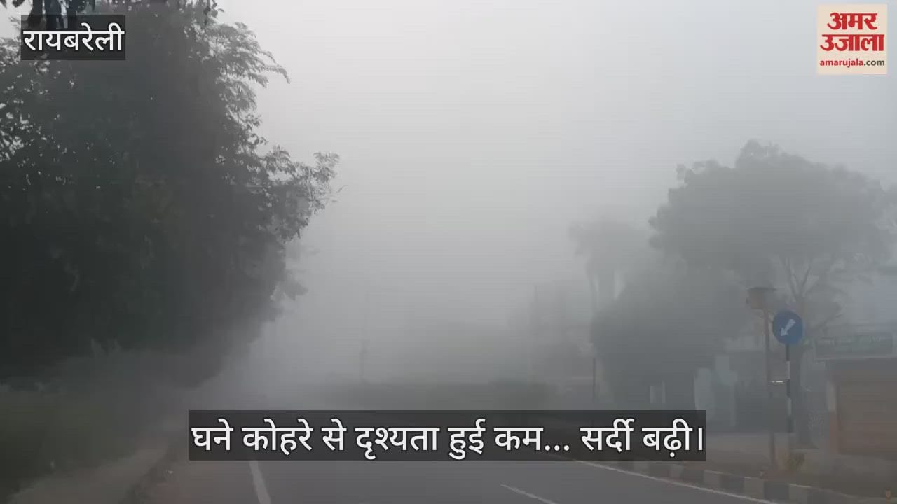 रायबरेली में घने कोहरे से दृश्यता हुई कम... सर्दी बढ़ी