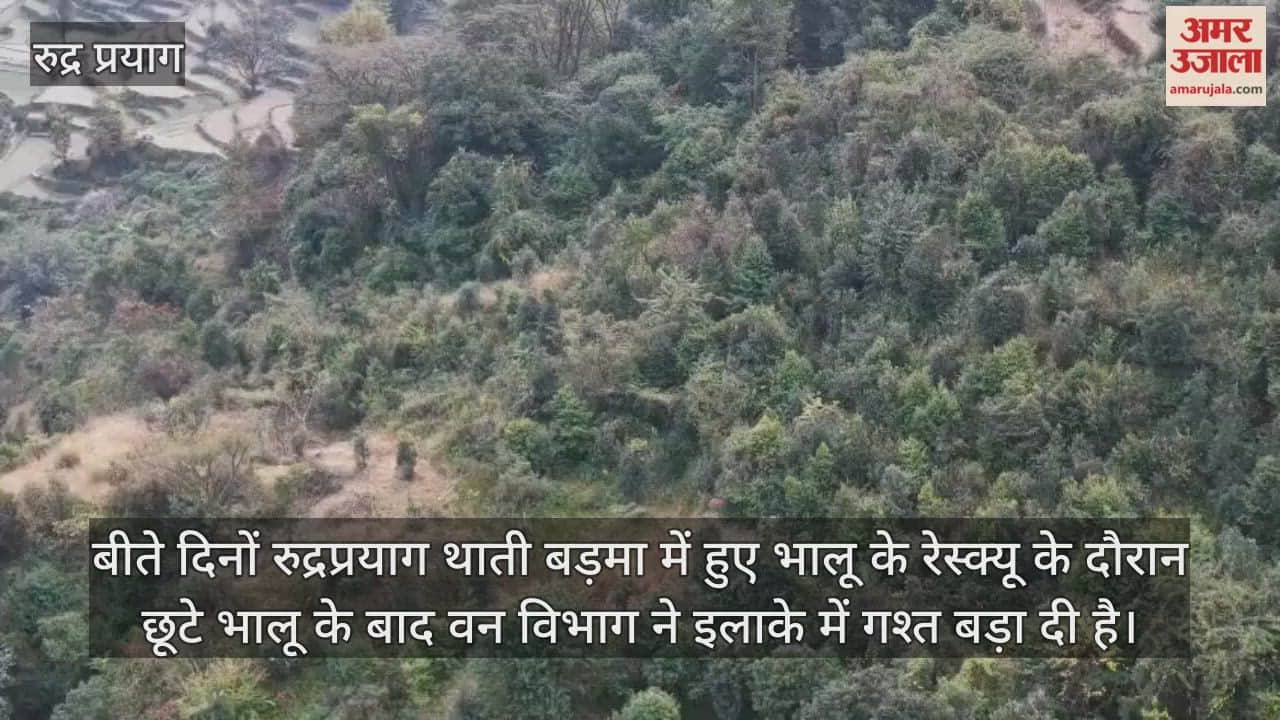 Due to the increasing fear of bears forest department has increased patrols Rudraprayag News