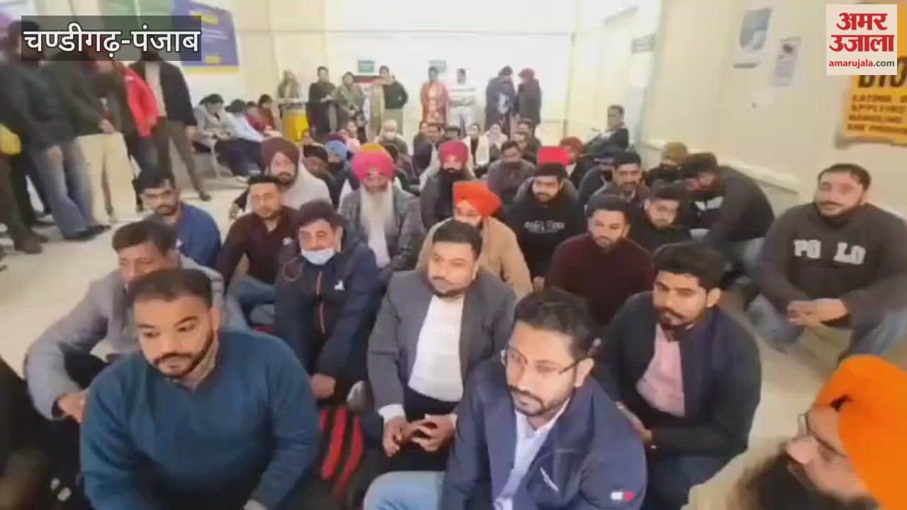 Doctors and staff of the government hospital staged a protest in Firozpur