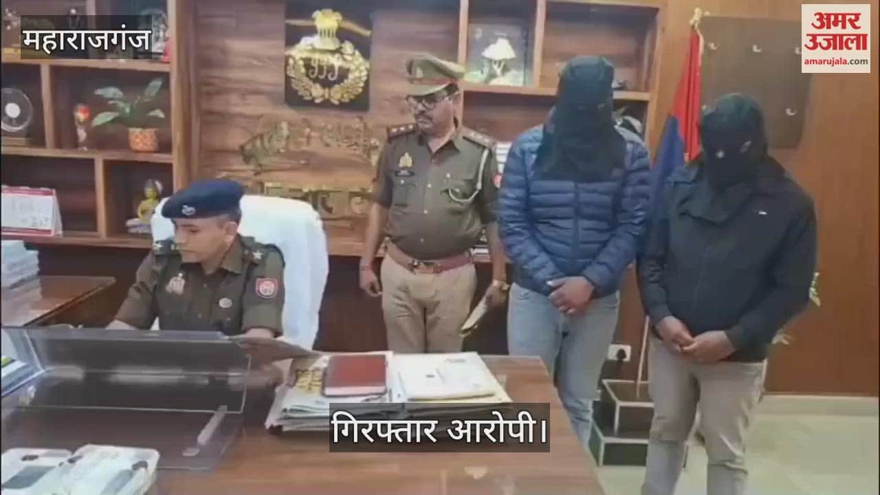 Police bust cyber fraud gang, two arrested