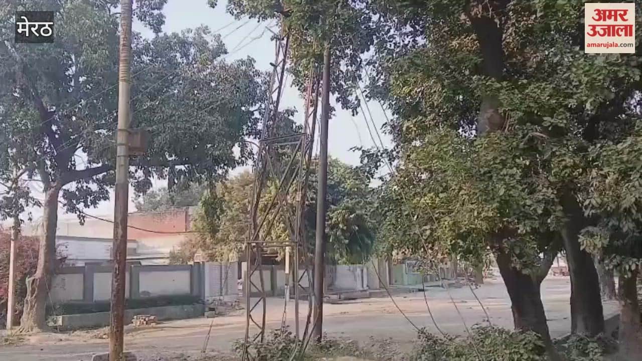 Meerut: In Hastinapur, the electricity system still relies on 65-year-old Frederick poles