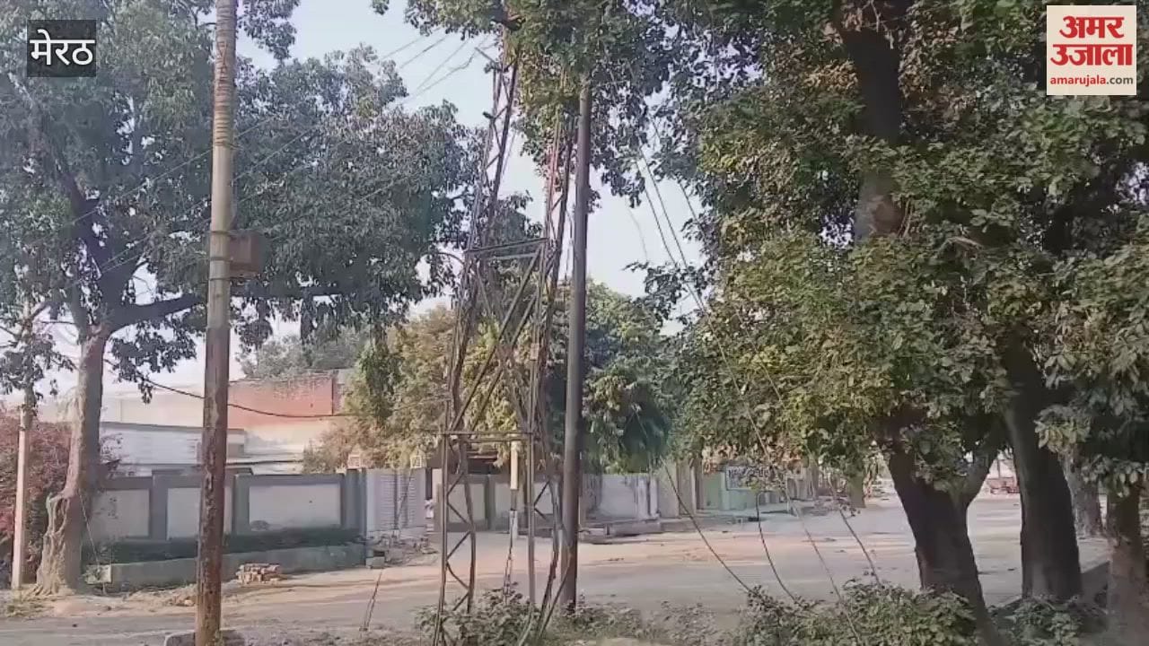 Meerut: In Hastinapur, the electricity system still relies on 65-year-old Frederick poles