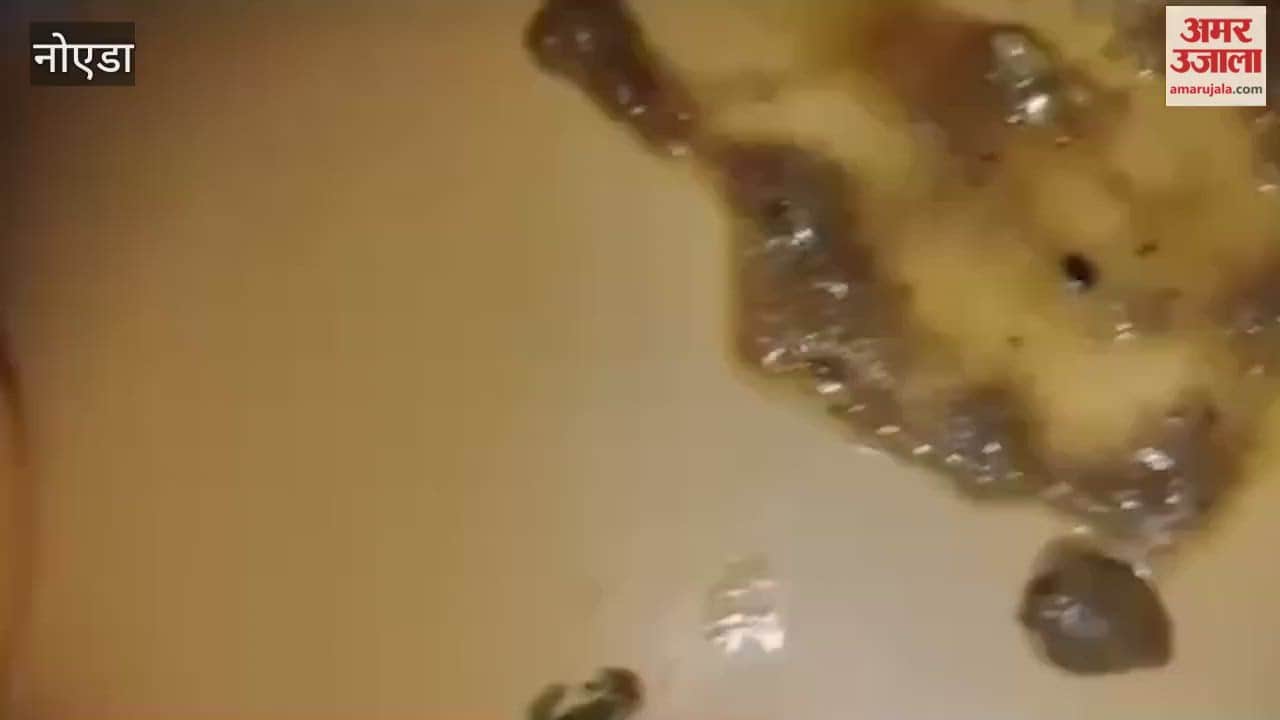 Insects found in Mangalmay College hostel food students create ruckus and fight