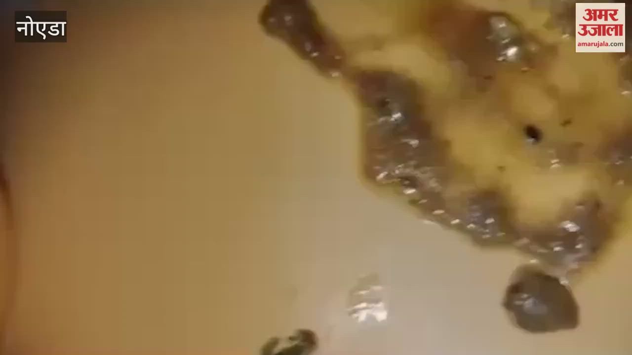 Insects found in Mangalmay College hostel food students create ruckus and fight