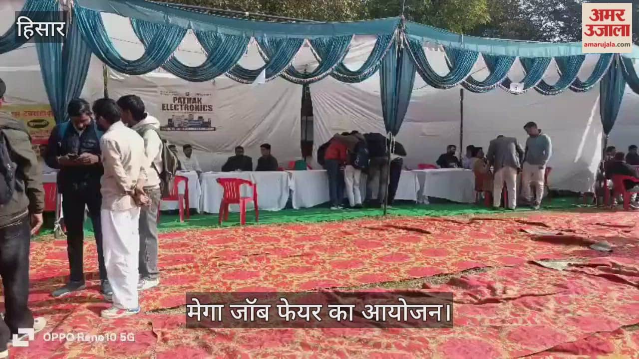 Mega job fair organised