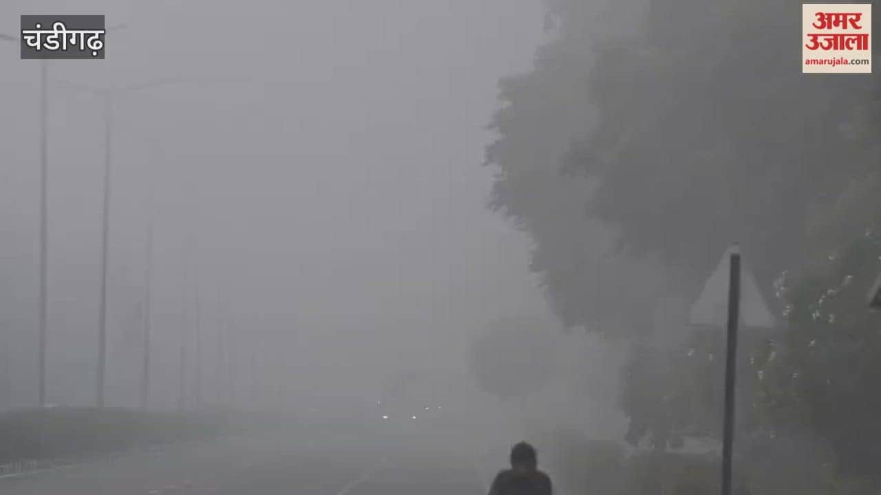 Chandigarh is engulfed in dense fog.