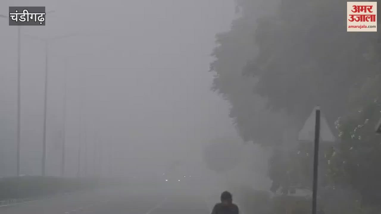 Chandigarh is engulfed in dense fog.