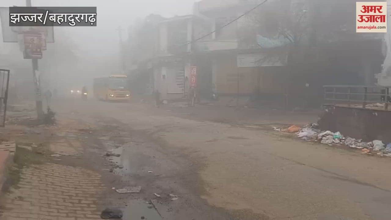 After a two-day respite, fog has returned to Jhajjar, reducing visibility.