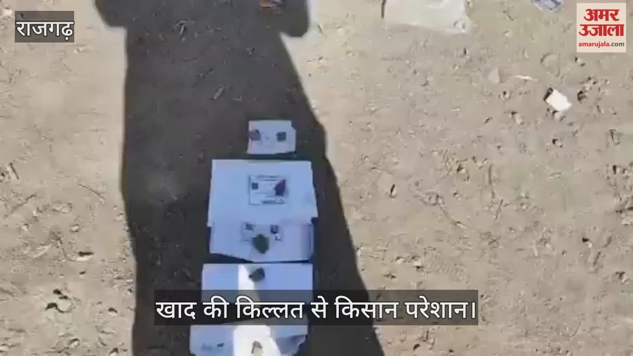 Rajgarh News: Urea fertilizer shortage, farmers are having to wait in queues for several days.