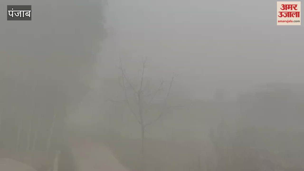 Due to dense fog, the visibility in Phagwara is less than 30 meters.