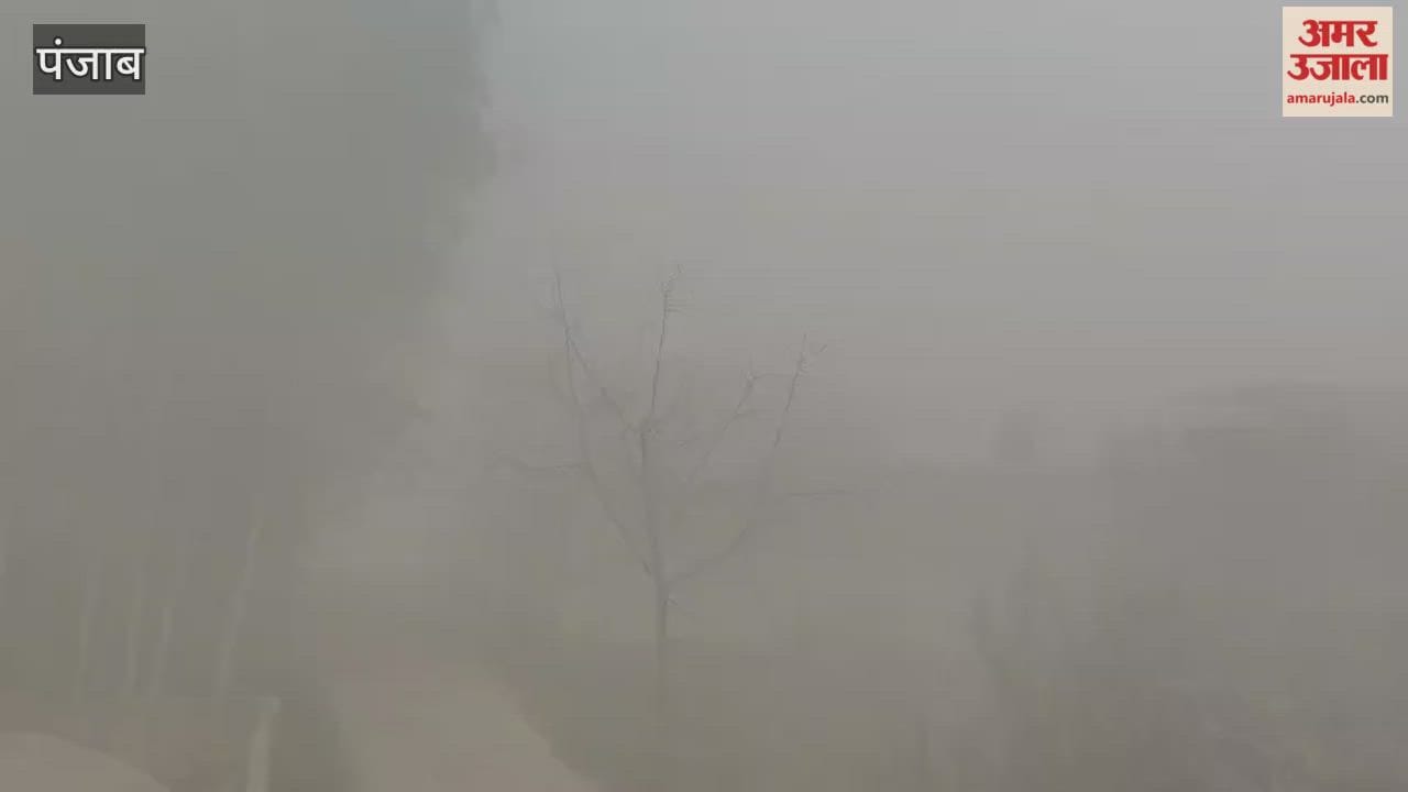 Due to dense fog, the visibility in Phagwara is less than 30 meters.