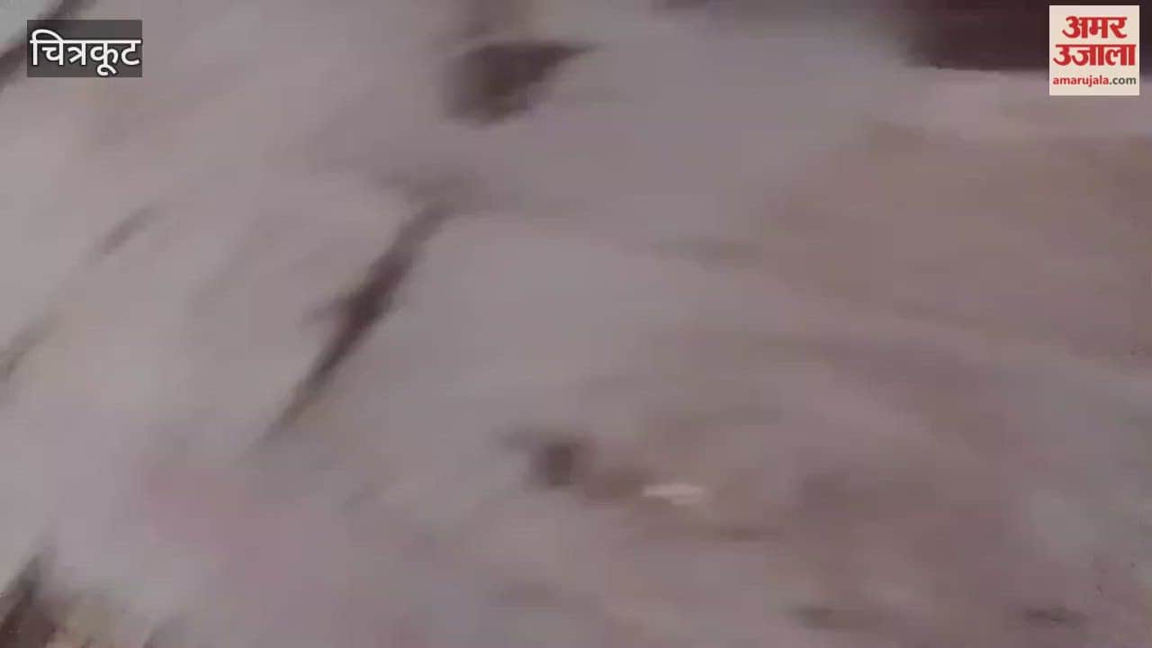 sambar deer emerged from forest and entered  residential area, causing panic when it tried to enter a temple