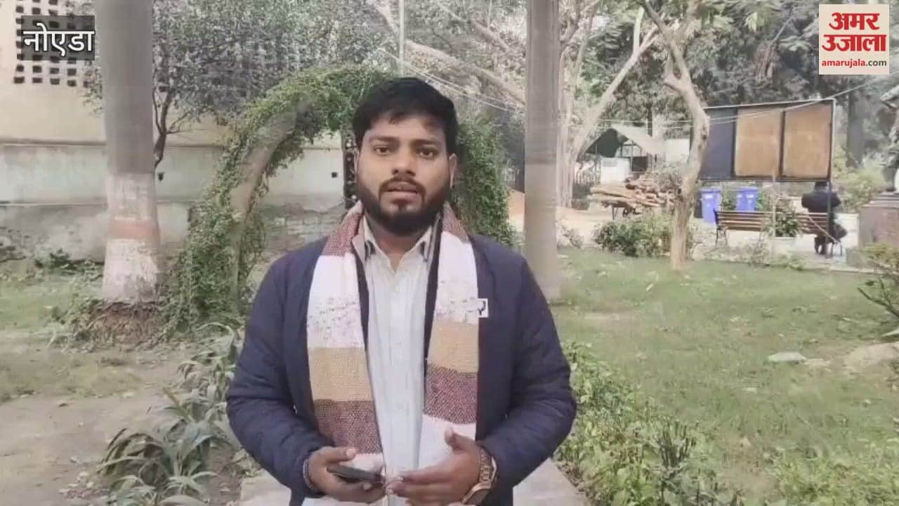 Padma Bhushan awarded senior sculptor Ram Vanji Sutar passes away